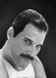 Freddie Mercury - reprodukce kresby